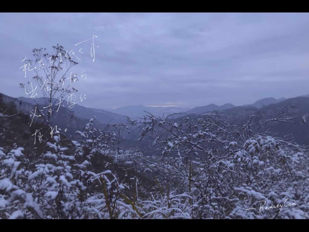 火星庙巷：熠熠星火 融融暖意