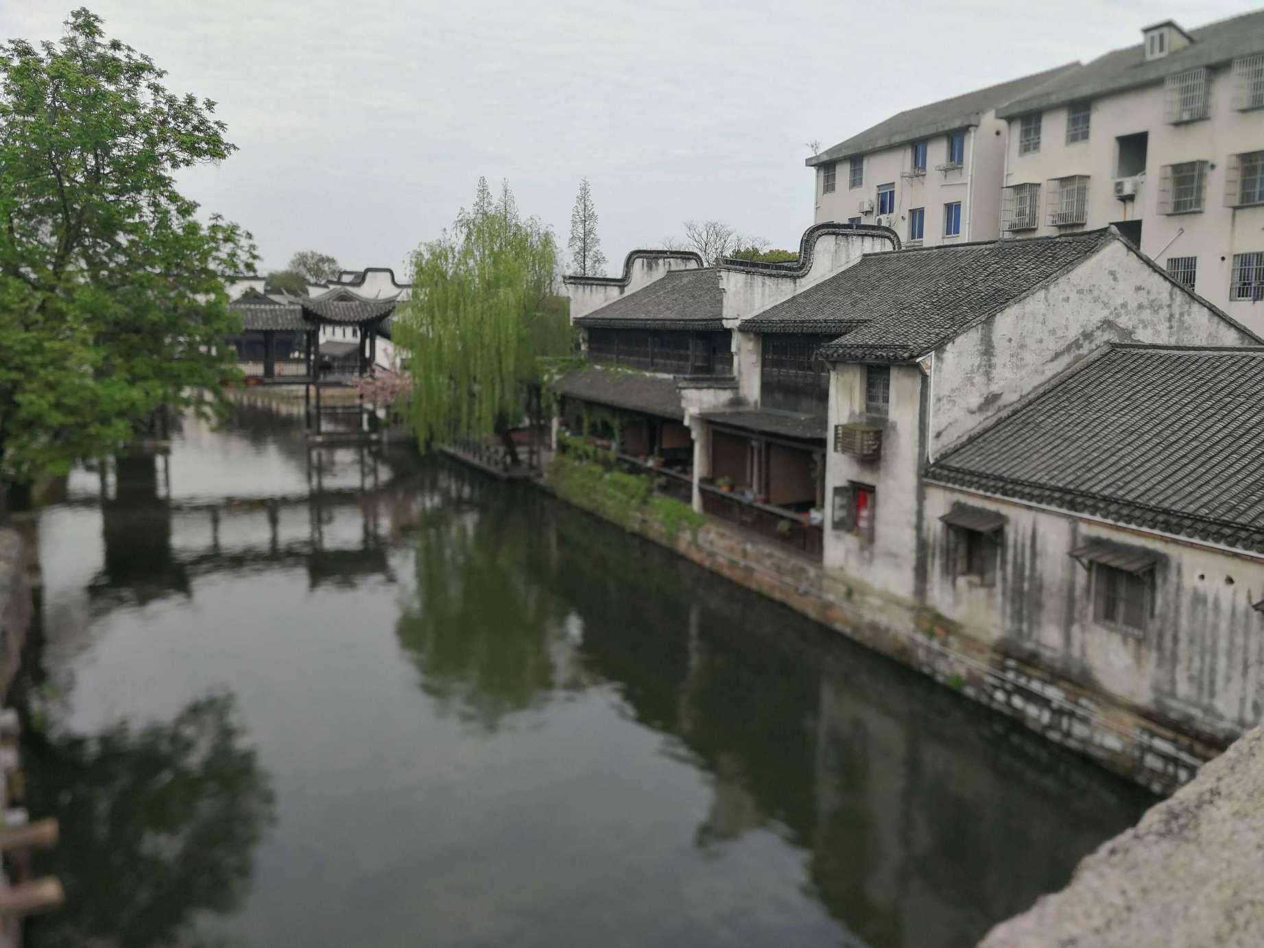 亲爱的金主大人